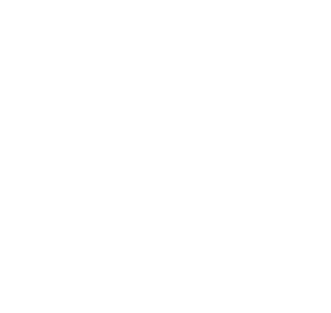 Pantolwen Press logo