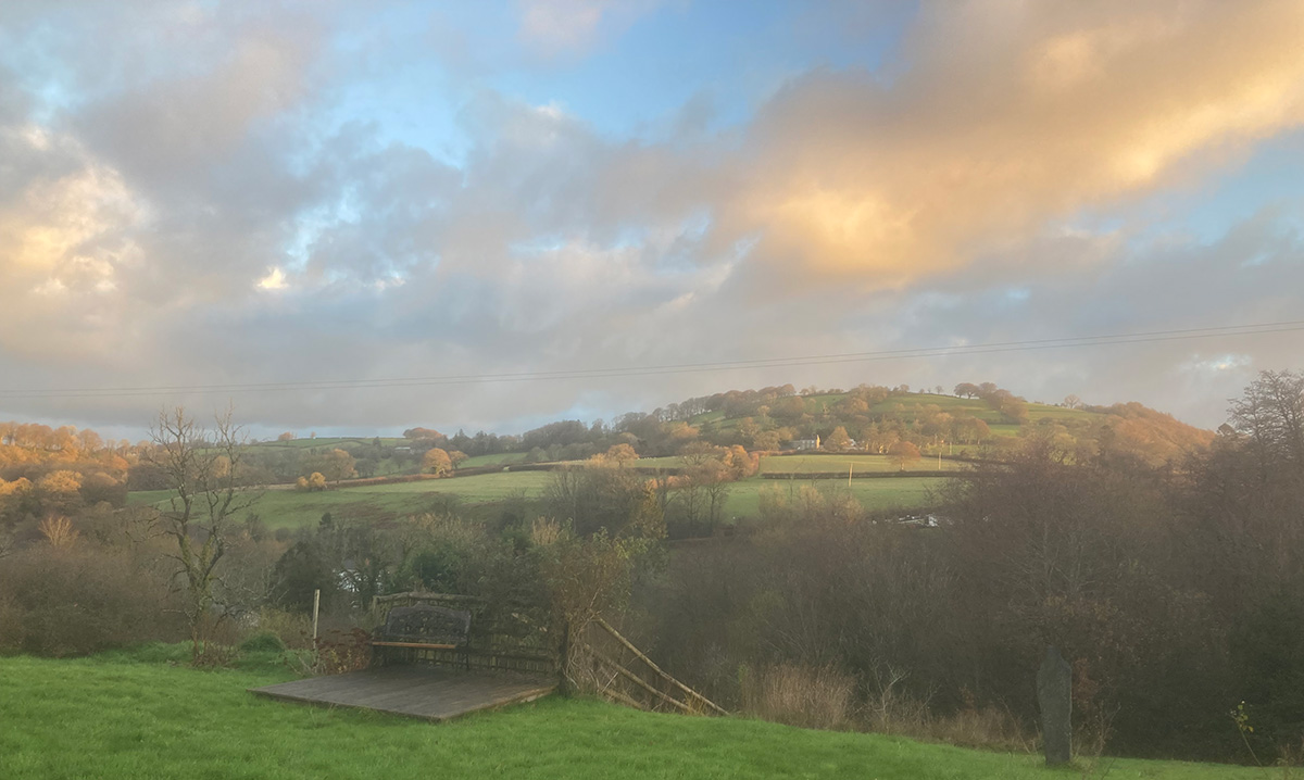 View of Bryn Glas country. Viewing through the edge of a woodland, green hill in the background